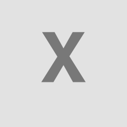 心流 XinLiu logo